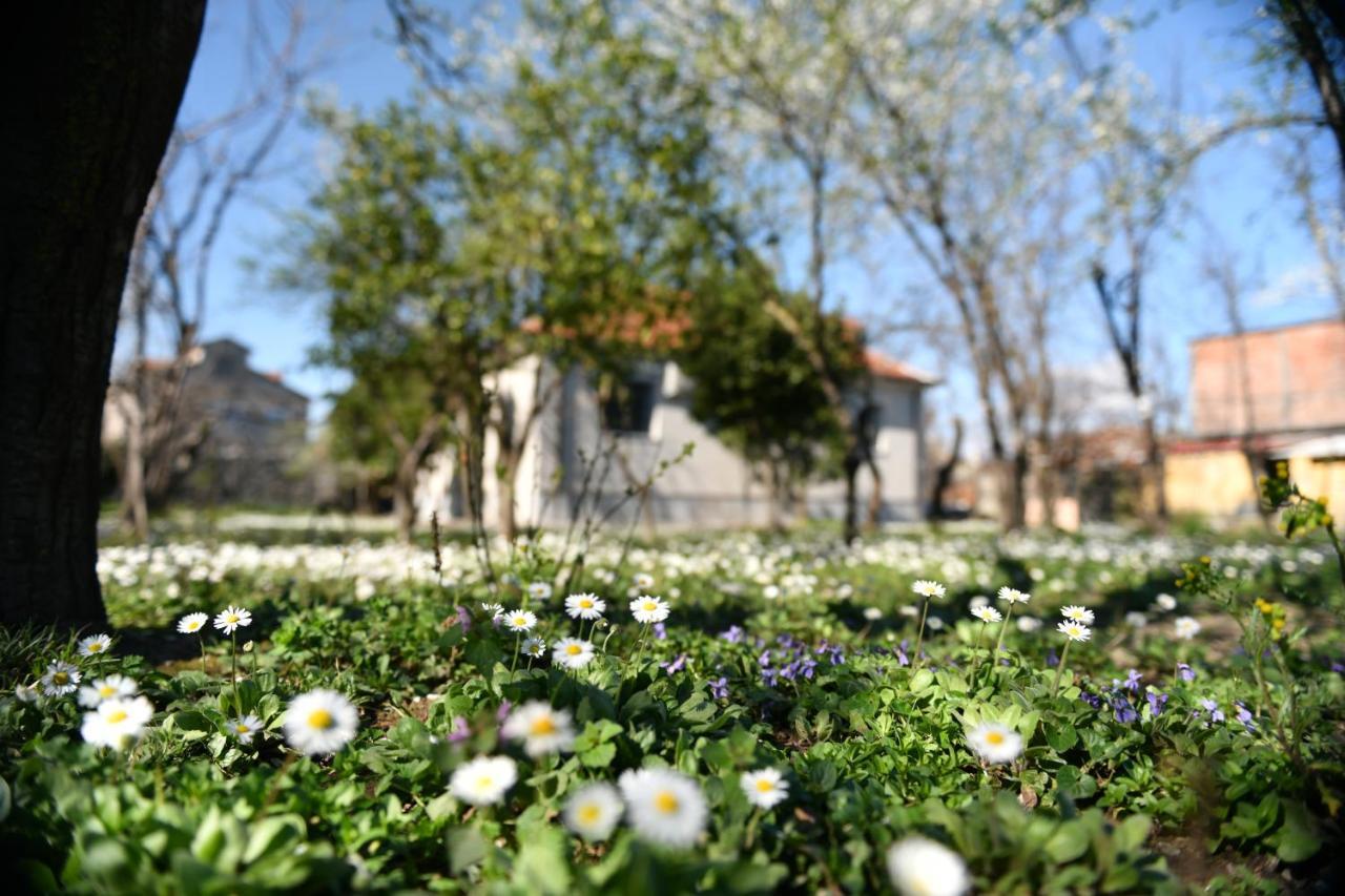 שקודר Nicolaus Hidden Gem Villa מראה חיצוני תמונה