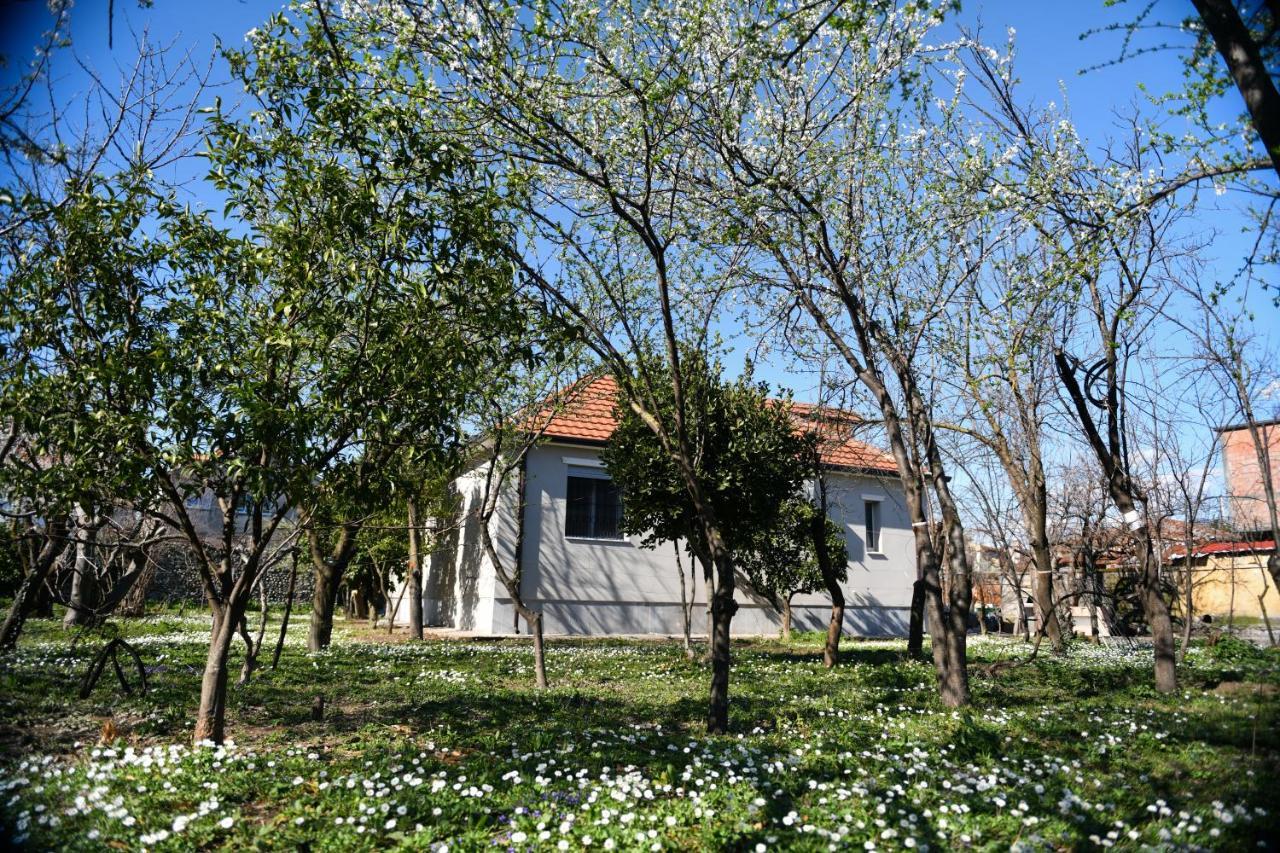 שקודר Nicolaus Hidden Gem Villa מראה חיצוני תמונה