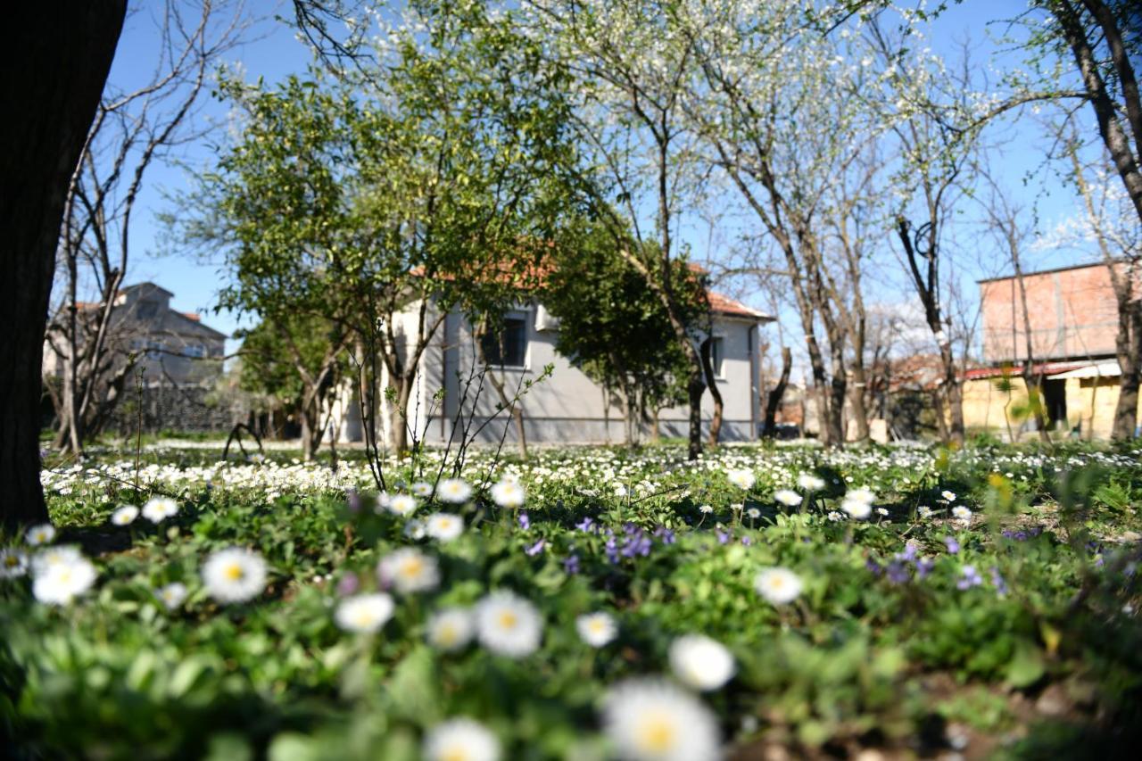 שקודר Nicolaus Hidden Gem Villa מראה חיצוני תמונה
