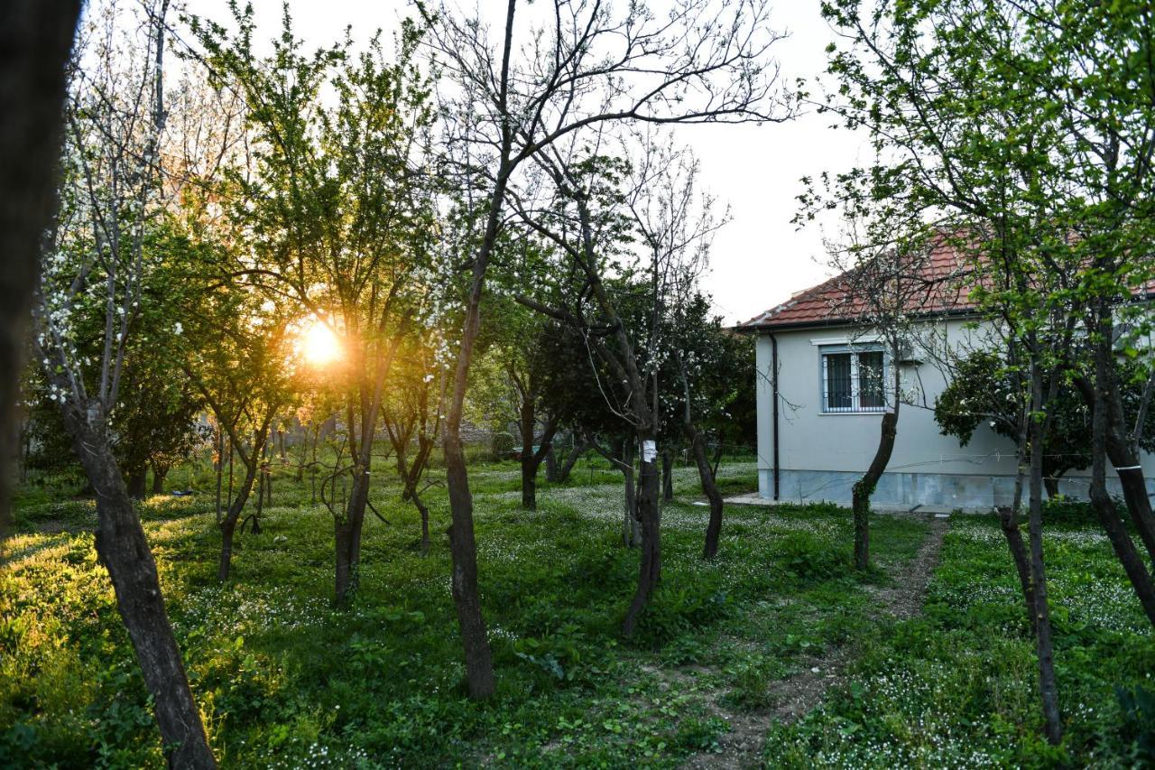 שקודר Nicolaus Hidden Gem Villa מראה חיצוני תמונה