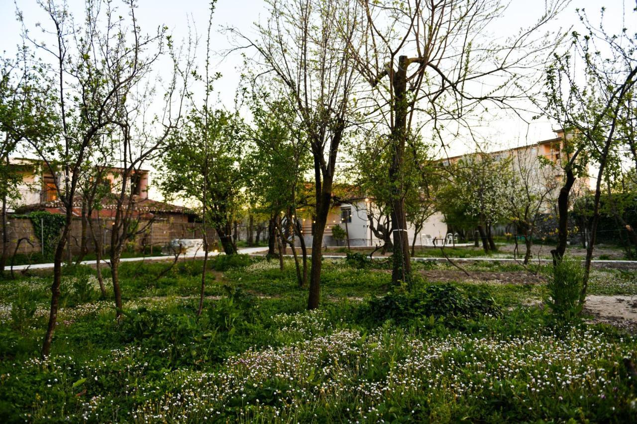 שקודר Nicolaus Hidden Gem Villa מראה חיצוני תמונה