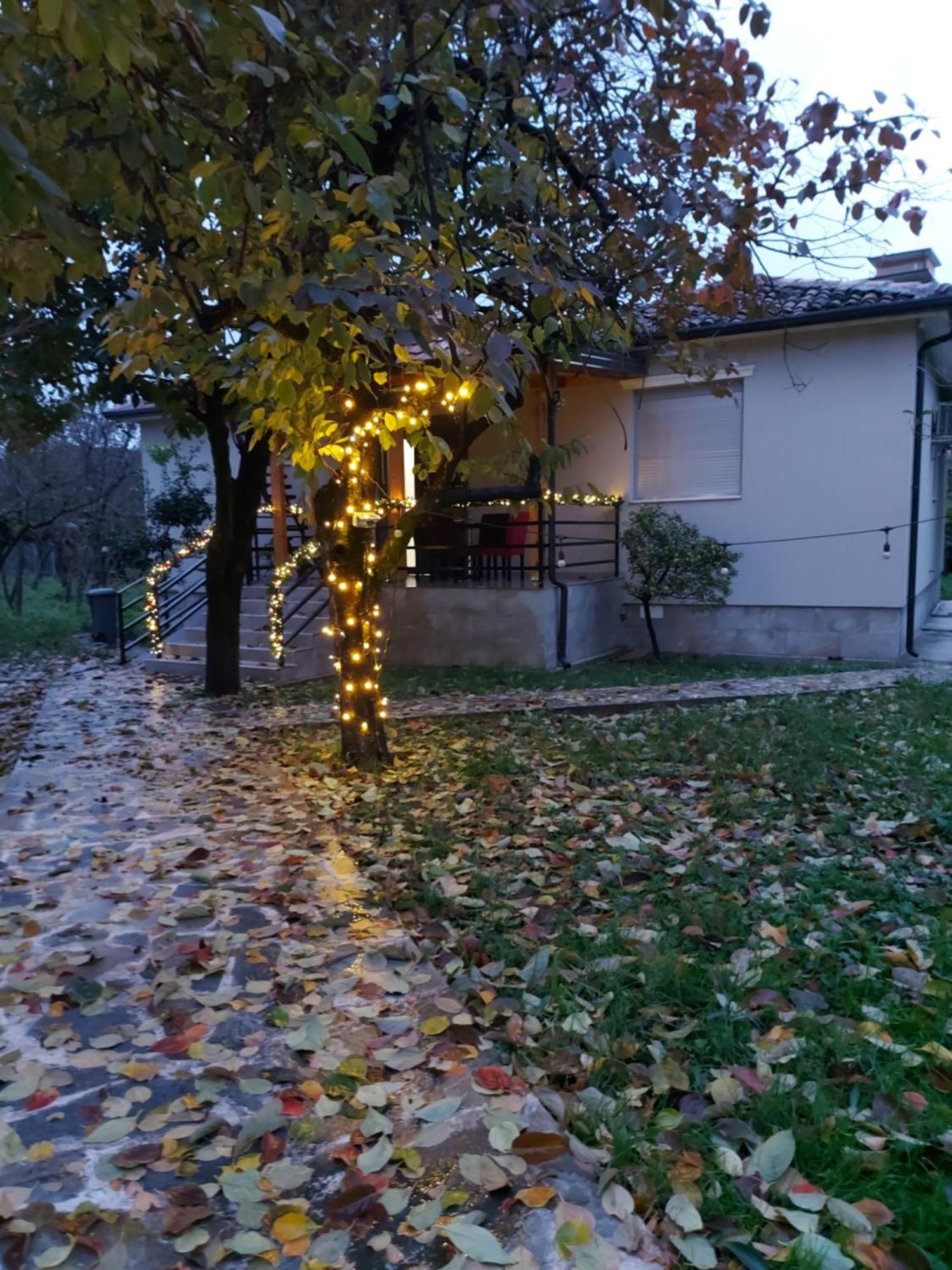 שקודר Nicolaus Hidden Gem Villa מראה חיצוני תמונה