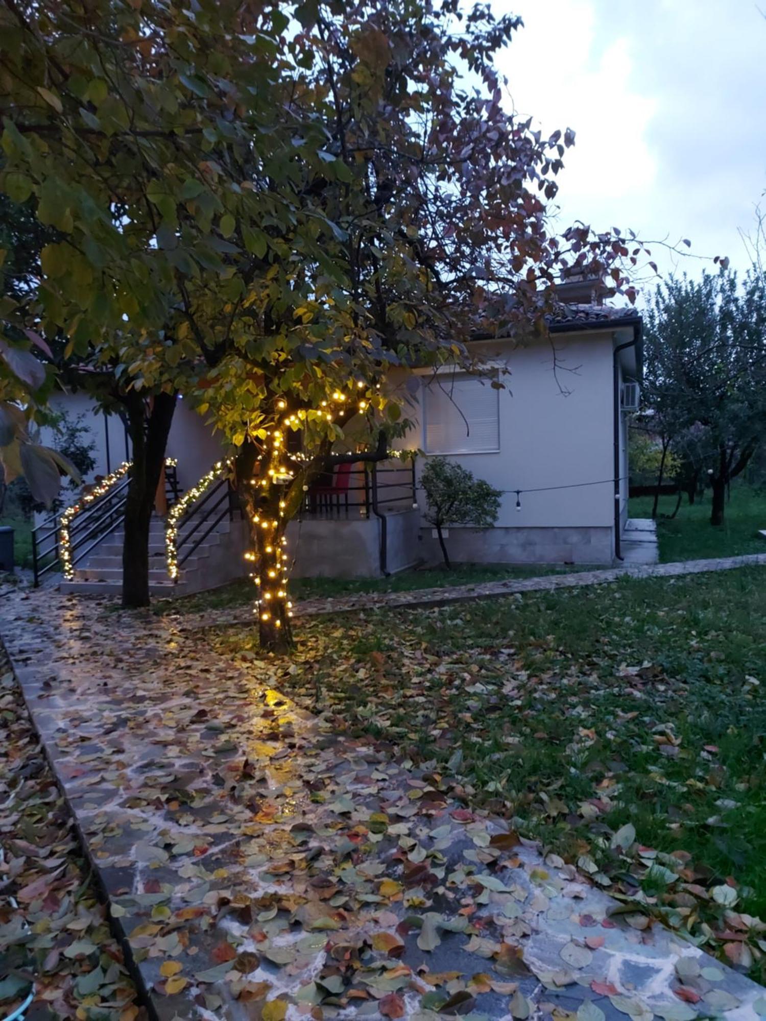 שקודר Nicolaus Hidden Gem Villa מראה חיצוני תמונה