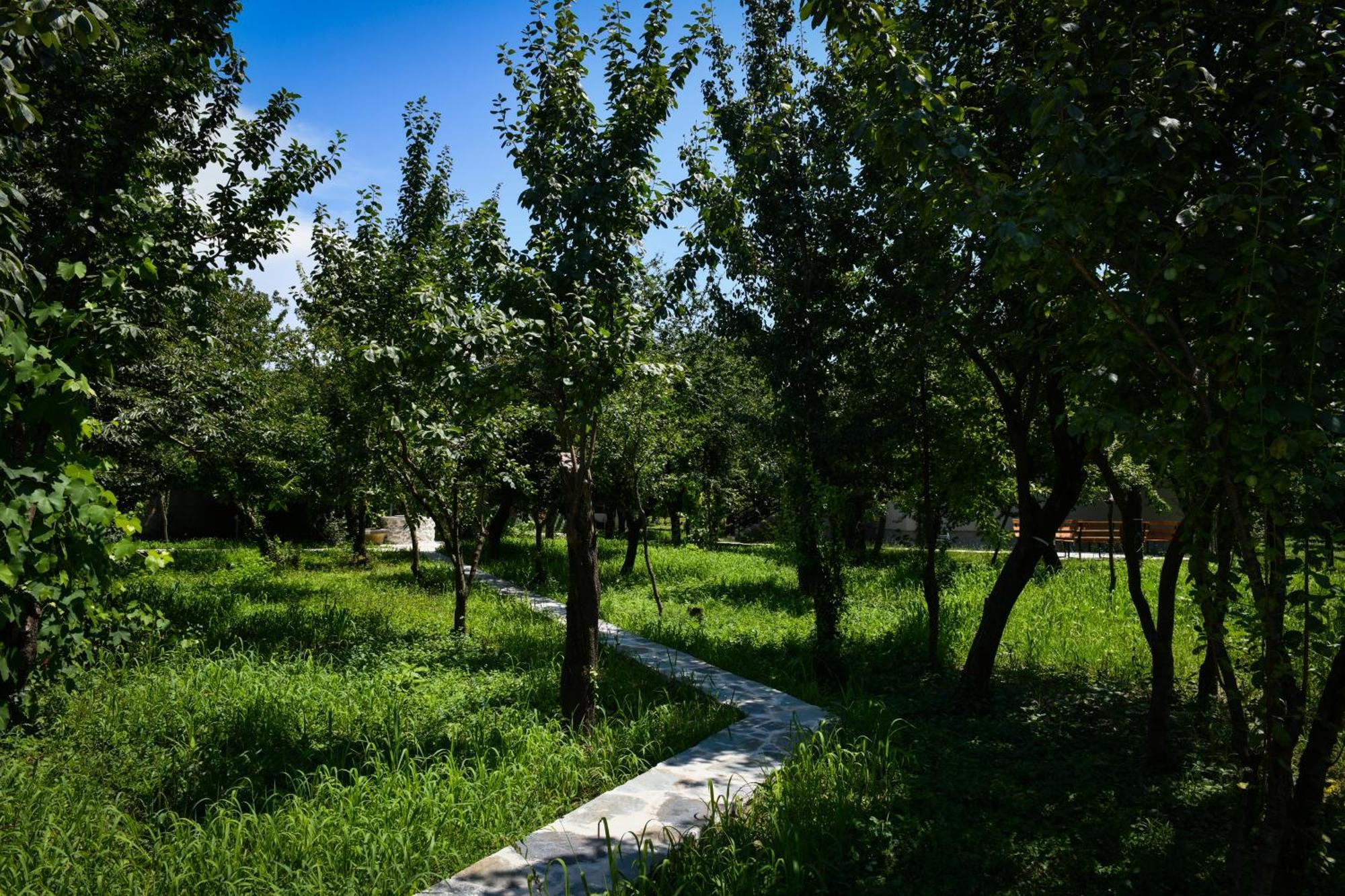 שקודר Nicolaus Hidden Gem Villa מראה חיצוני תמונה