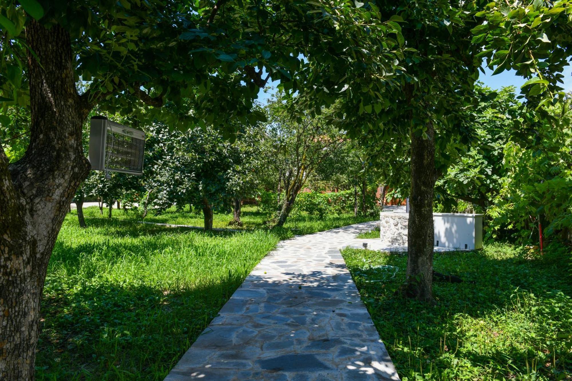 שקודר Nicolaus Hidden Gem Villa מראה חיצוני תמונה